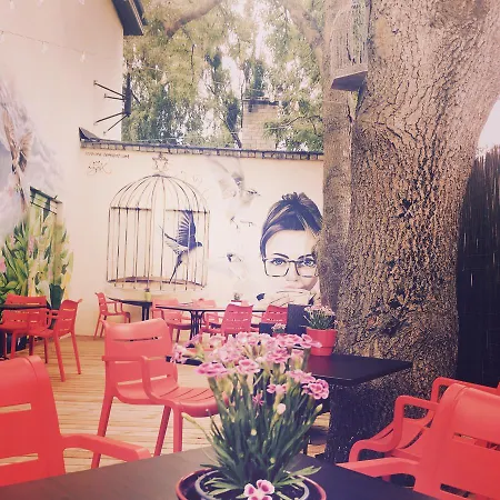 بيت شباب Telegraf Backpackers