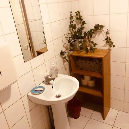 Telegraf Backpackers بيت شباب كوريسارِ