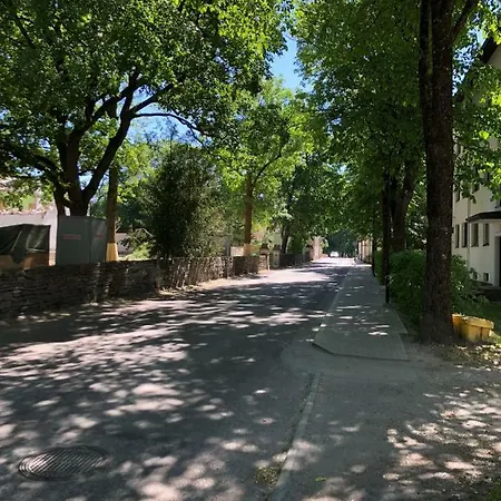 بيت شباب Telegraf Backpackers كوريسارِ